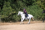 WJ6_8142