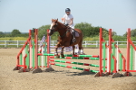 SBM_012335