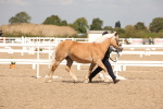 SBM_04669