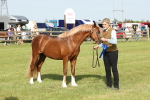 SBM_00712
