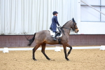 SBM_002622