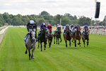 250726-Race 6-Likealot-7660