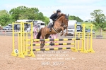 BPP_8077