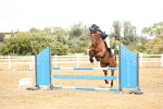 SBM_023688
