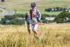Tebay U11-66