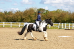SBM_000299