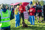Dovedale Dash-7