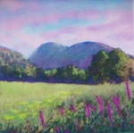 Pontesford Hill- Shropshire