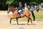 Cls 6 British Novice and 90cm Open portfolio