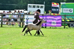 SBM_03566