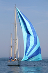 180707 LUTINE GBR809   2F7A7555