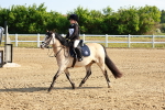 SBM_006234