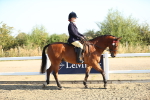 SBM_00377