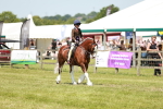 SBM_15760
