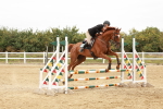SBM_008501