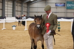 Class 113 - Yearling portfolio