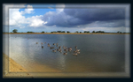 P9  Summer Shower