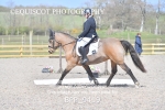 BPP_9419