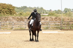 SBM_003617