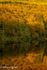 Loch Ard Autumn Refections, 5