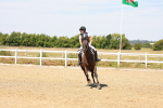 SBM_000998