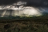 Dublin Mountains
