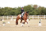 SBM_006831