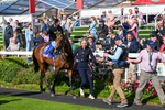 240824-Race 4-Magical Zoe-1117