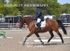 BPP_6098