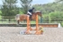 BPP_3413