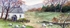 Sheep grazing