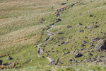 Old County Tops-12