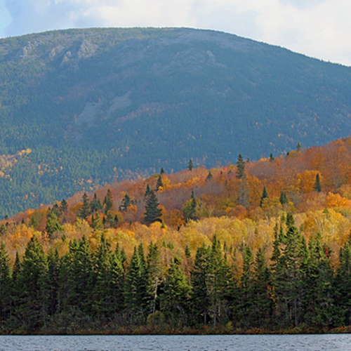Mount Sagamook, one of the highest peaks in the northern range of the Appalachian mountain chain, stands tall amid a…