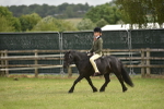 SBM_10693