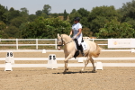SBM_004951