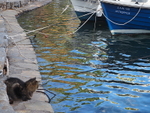 PA2602750535