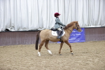 SBM_000213
