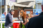160725-Race 6-Bellarchi-9598