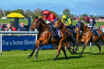 Race 7 portfolio