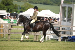 SBM_09202