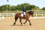 SBM_007031