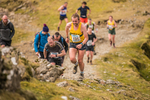 Newlands  TWA-274