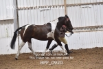 BPP_0920