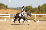 SBM_016564
