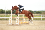 SBM_006303