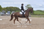 BPP_6720