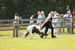 SBM_02502