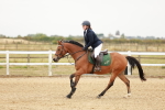 SBM_007336