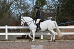 Dressage - CT Class 5 BE95 (90cm) portfolio