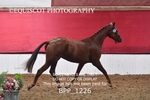 BPP_1226